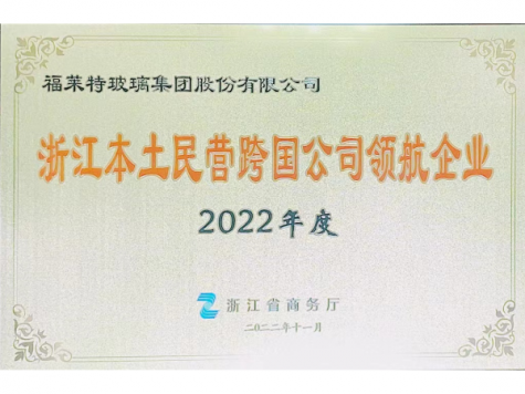 2022年度浙江本土民营跨国公司领航企业